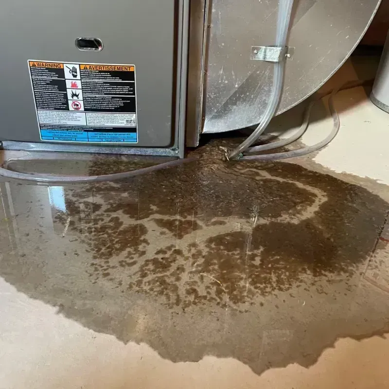 Appliance Leak Cleanup in Gifford, IL